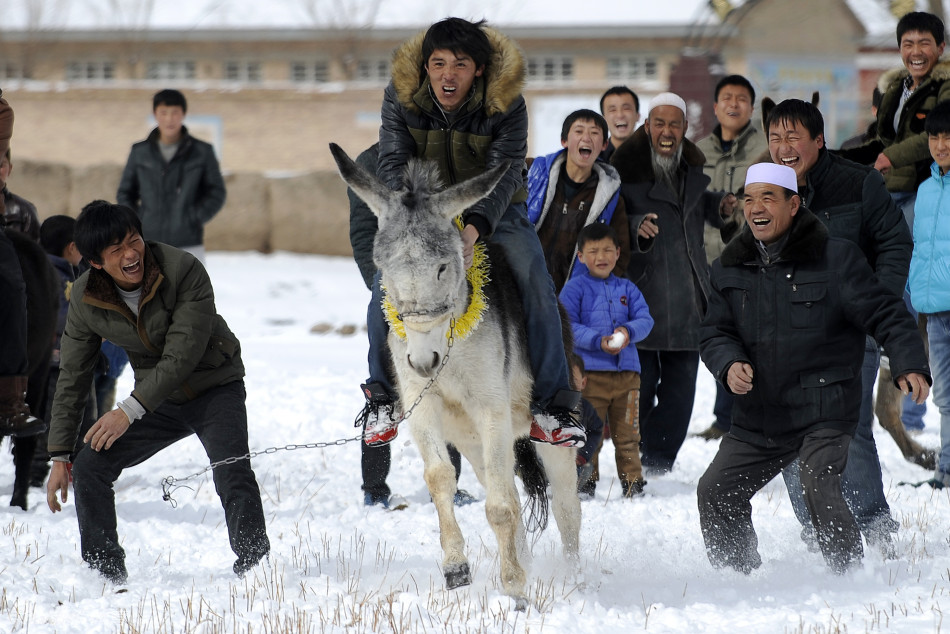宁夏农民雪地骑毛驴大赛