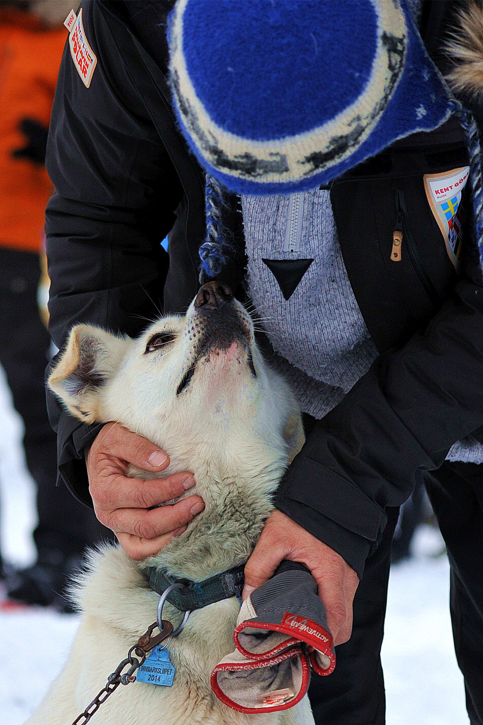 2014瑞典北极狐极地穿越活动圆满结束 -- 佛山