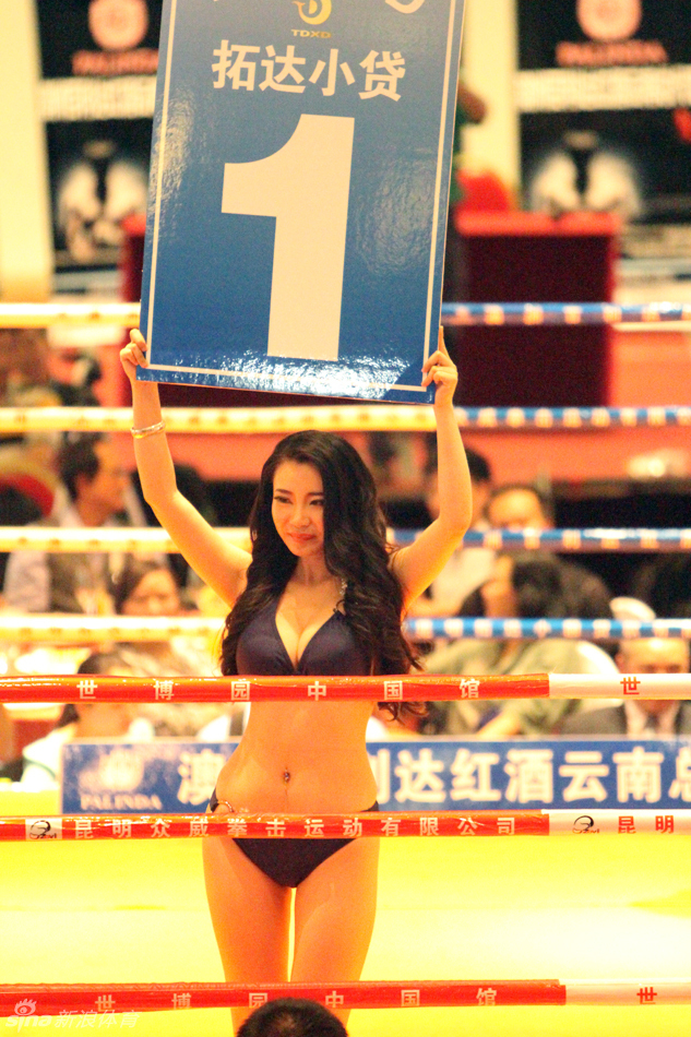 wbc拳击排位赛性感举牌女郎_高清图集_新浪网