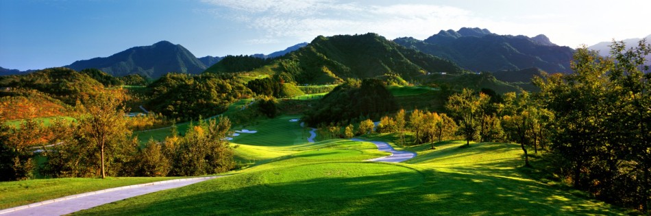 第17洞果岭特写，碧绿果岭如精心修剪的地毯，静静卧于松林怀抱之中