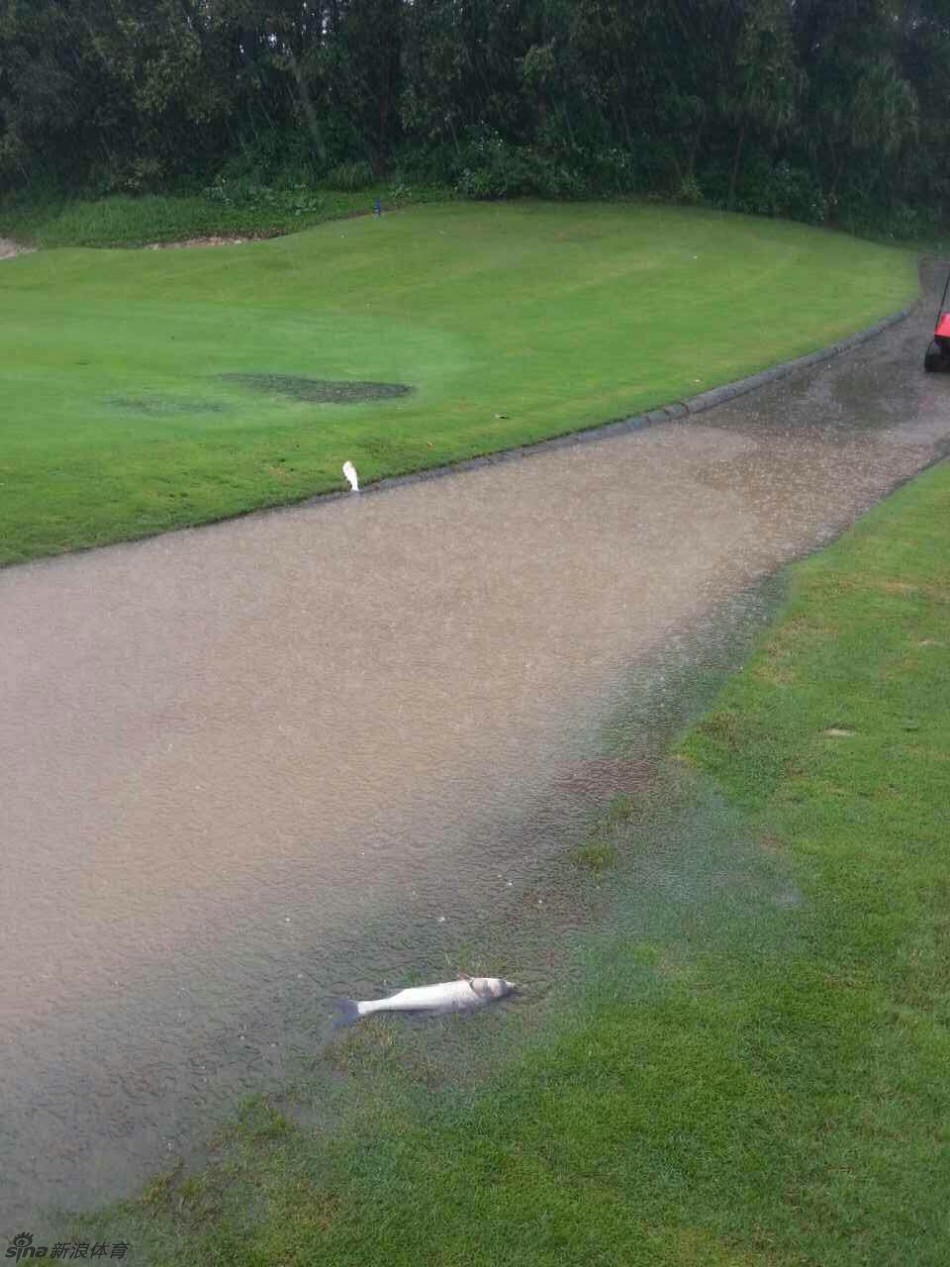 雨后的伤痕，洪水退去后的球场一片泥泞，沙坑边缘被冲刷得模糊不清，远处的工作人员正在检查场地受损情况。