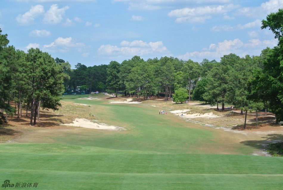 松树丛二号球场典型的沙土与本地植被区，裸露的地表与星散的草丛取代了传统长草，还原了最原始的球场风貌。