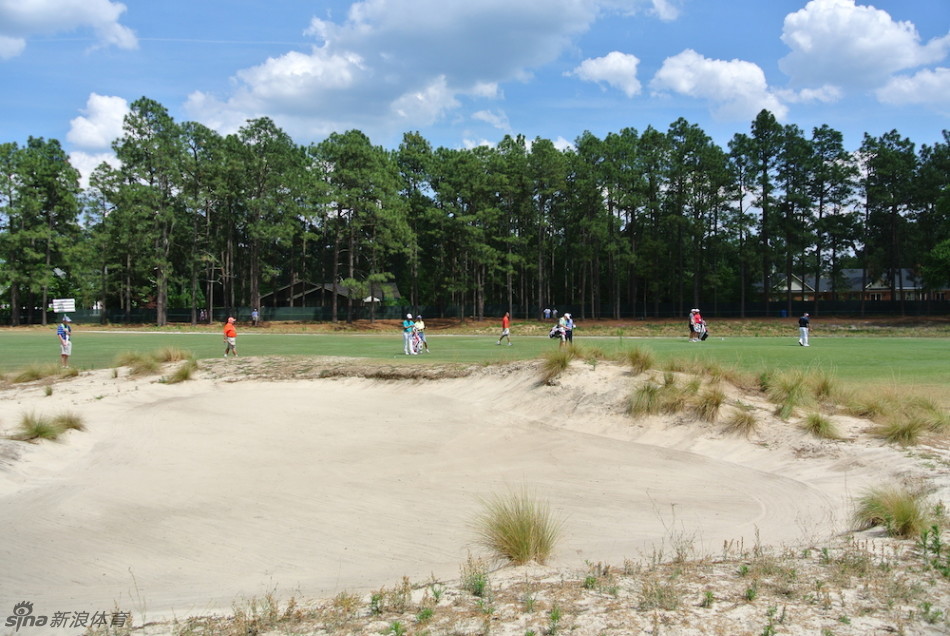 从高耸的松林间俯瞰，四号洞的球道居高临下，气势非凡，展现了松树丛球场广阔而富有层次的景观。