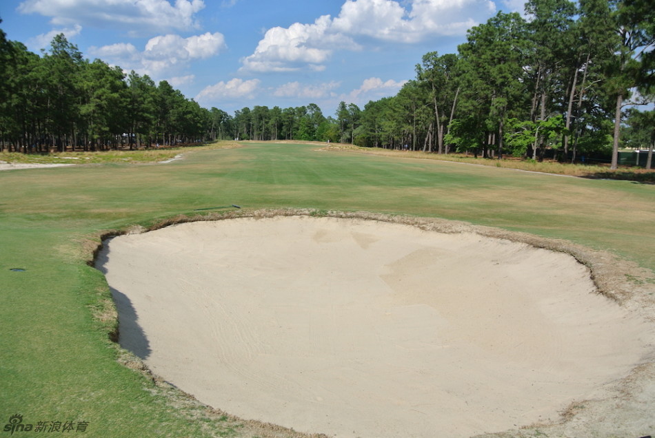 炽热的阳光下，松树丛球场的松林与沙坑勾勒出鲜明的光影线条，展现了球场在晴空下的独特美感与严酷考验。