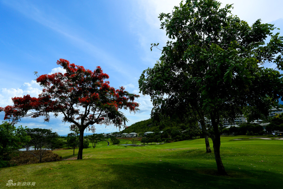 沙坑边缘锋利，沙质洁白细腻，像守护果岭的堡垒，与翠绿的草坪形成强烈视觉冲击