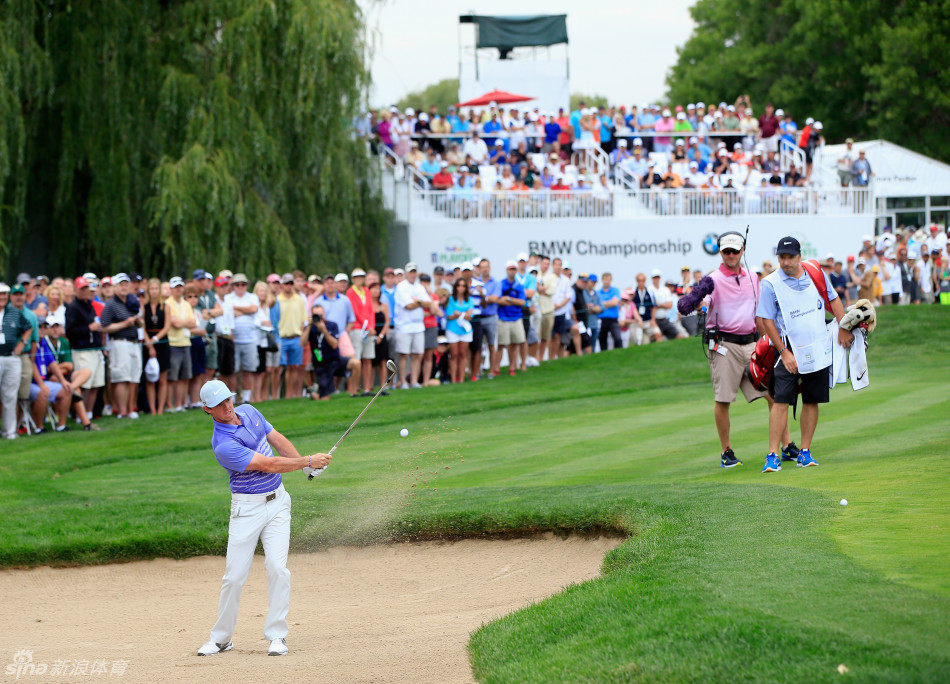 小麦站在果岭上，身体微曲，全神贯注地观察推杆线路，表情严肃而专注。