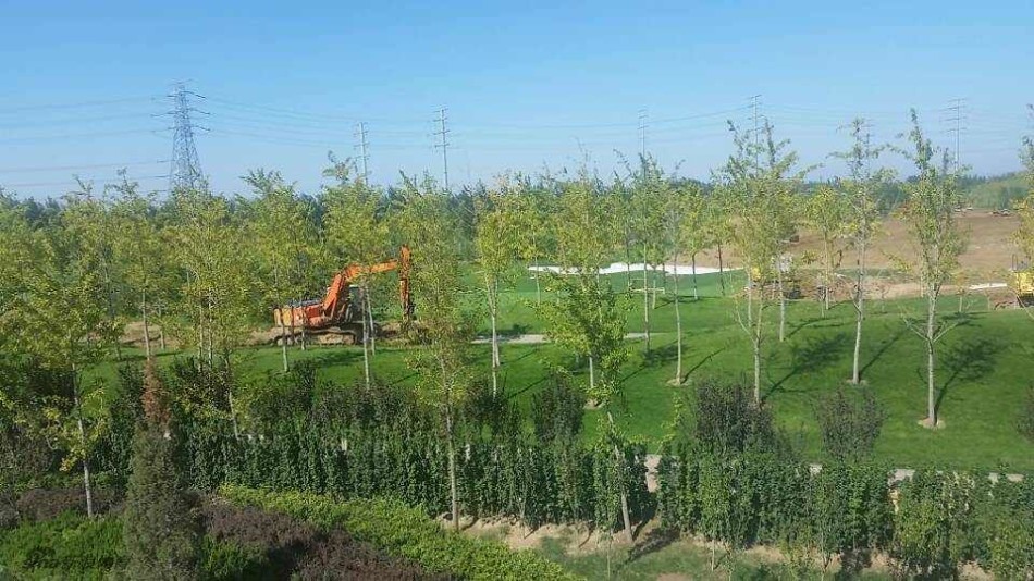 拉近镜头，横幅上“维护会员合法权益”等字样清晰可辨，手持横幅的会员们手臂紧绷，显示出团结一致的力量。