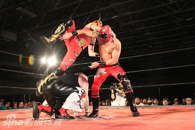 美国职业摔跤2014最新