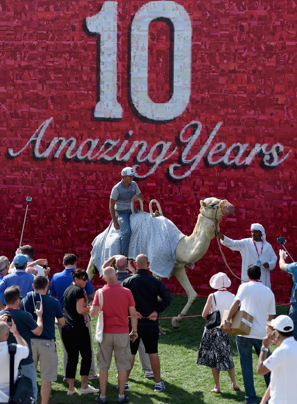 福勒手持缰绳,尝试亲自牵引骆驼,脸上带着专注而有趣的表情,探索着与动物协作的乐趣。