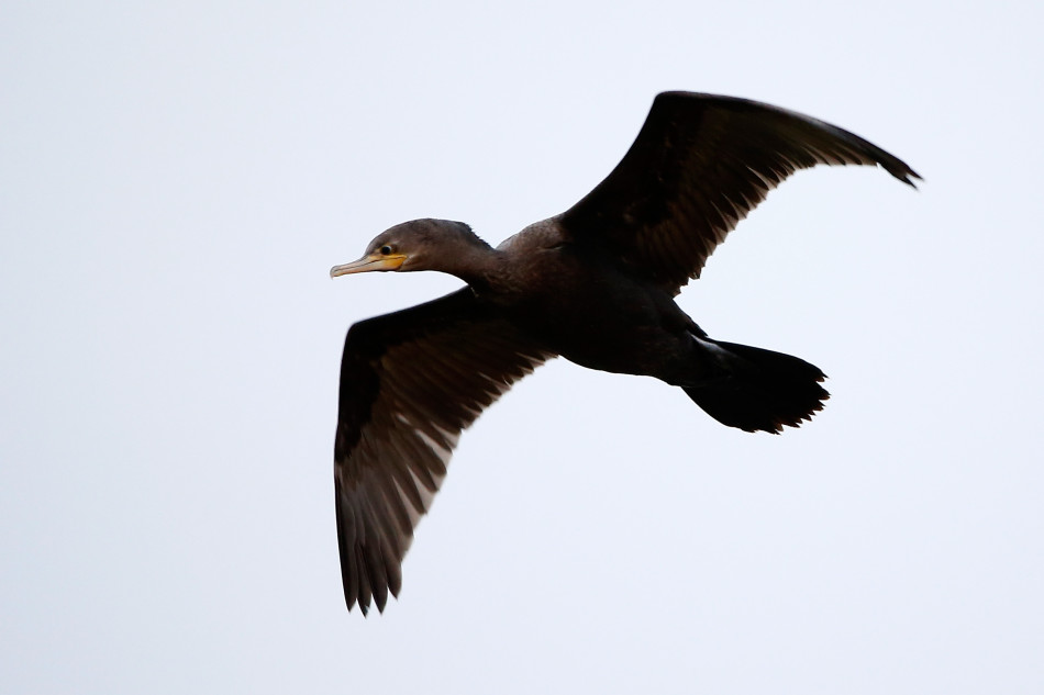 阿诺德·帕尔默面带标志性微笑在场边静静等待,准备向球员致以祝贺,王者的风度与温情在此刻交融。