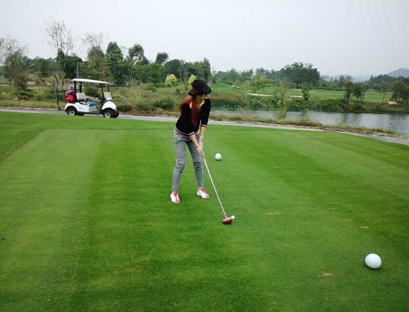 头部侧转换气,水珠沿脸颊滑落,眼神坚定望向池边,呼吸与节奏完美同步