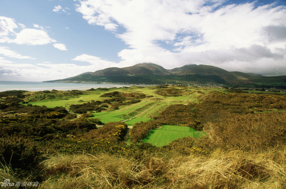 锦标赛期间，第4洞果岭在清晨阳光下泛起光泽，与周围深色的沙坑和金雀花丛形成鲜明而宁静的对比