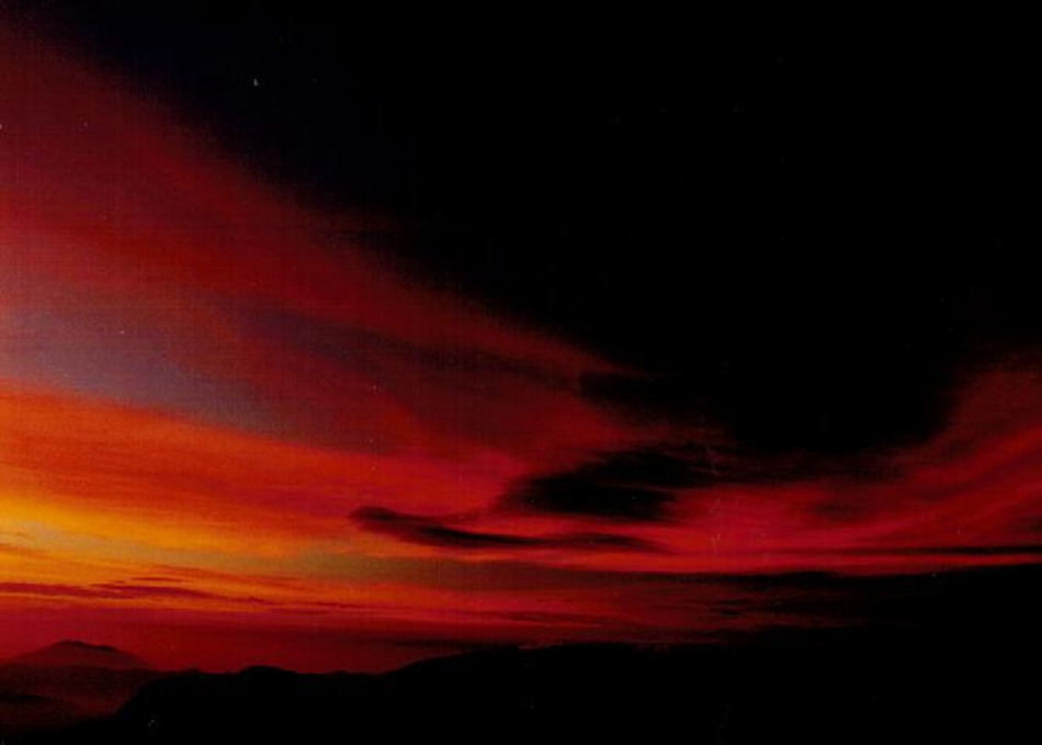 黑竹沟是目前国内保存最完整、最原始的生态群落之一。