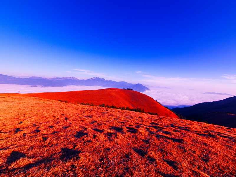 黑竹沟是目前国内保存最完整、最原始的生态群落之一。