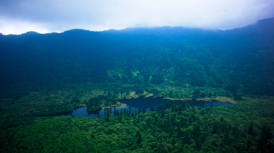 黑竹沟是目前国内保存最完整、最原始的生态群落之一。