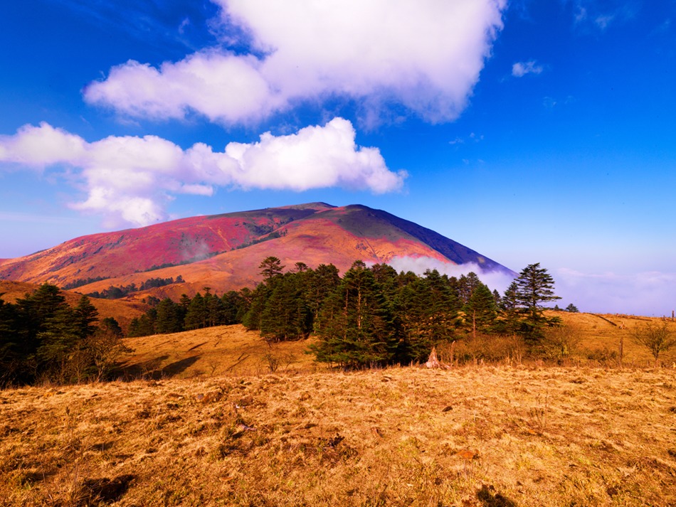 黑竹沟是目前国内保存最完整、最原始的生态群落之一。