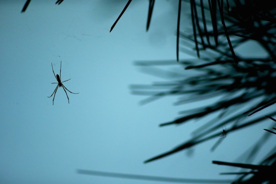 一位小球员在开球前转过身来，对着镜头调皮地比出胜利的剪刀手，脸上洋溢着无忧无虑的灿烂笑容。