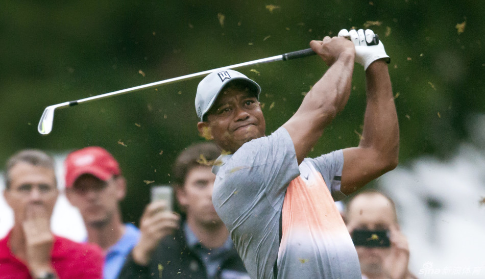 老虎伍兹在开球台上凝神准备，身姿挺拔如松，目光如炬锁定远方球道