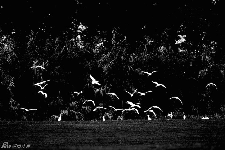 雨后积水倒映青春身影,少年们挽裤驻足凝望远方果岭