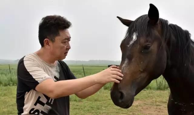 相声演员于谦爱养马在圈里可谓是人尽皆知,他在京郊有一块自己的马场