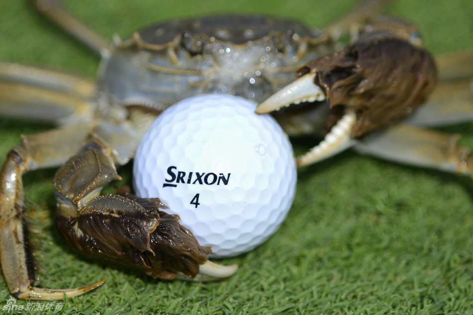 颁奖典礼上冠军高举奖杯，香槟喷洒庆祝赛季圆满落幕