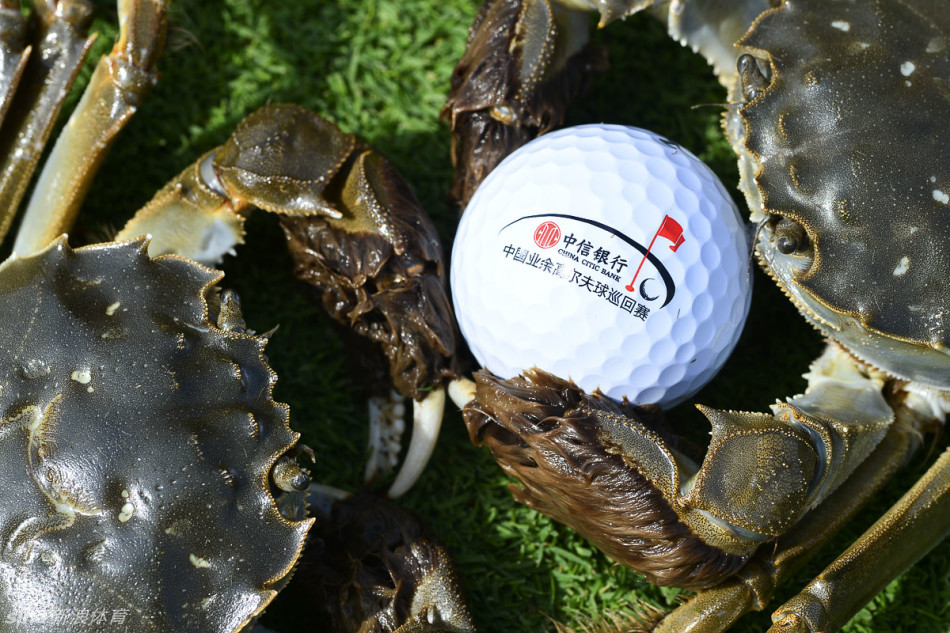 男子冠军在第十八洞果岭推出致胜一杆，观众屏息凝视