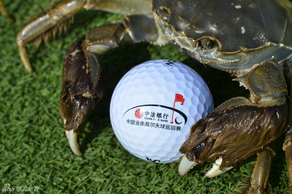 女子冠军优雅挥杆，小白球在金陵秋色中划出完美弧线