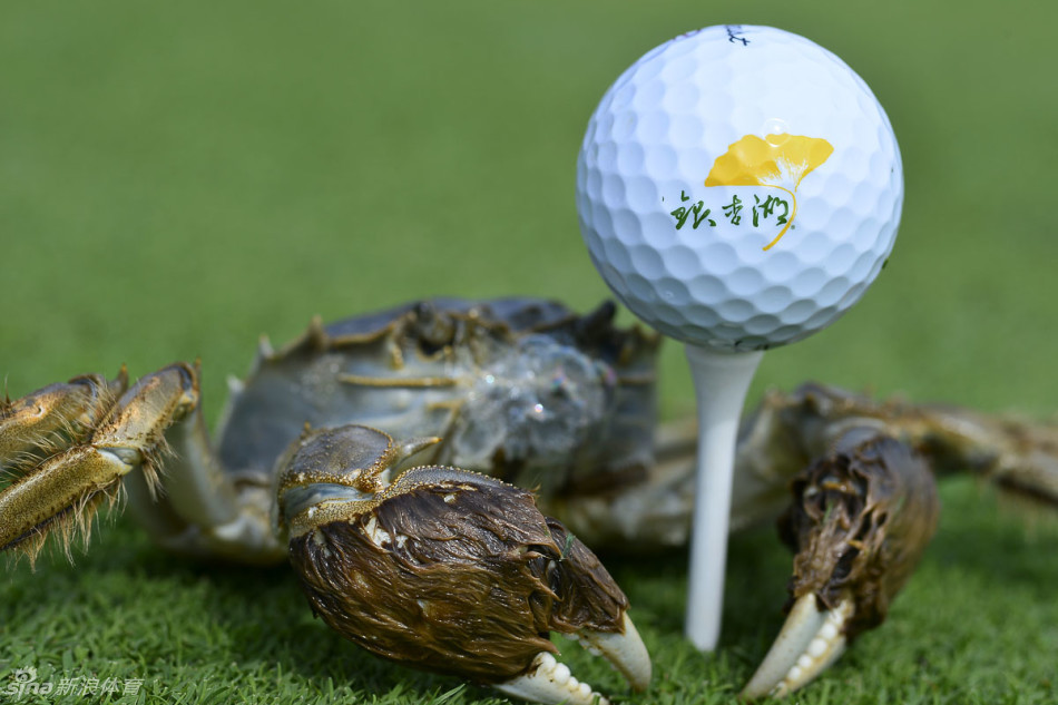 全体获奖球员与嘉宾合影，定格二零一五赛季珍贵记忆