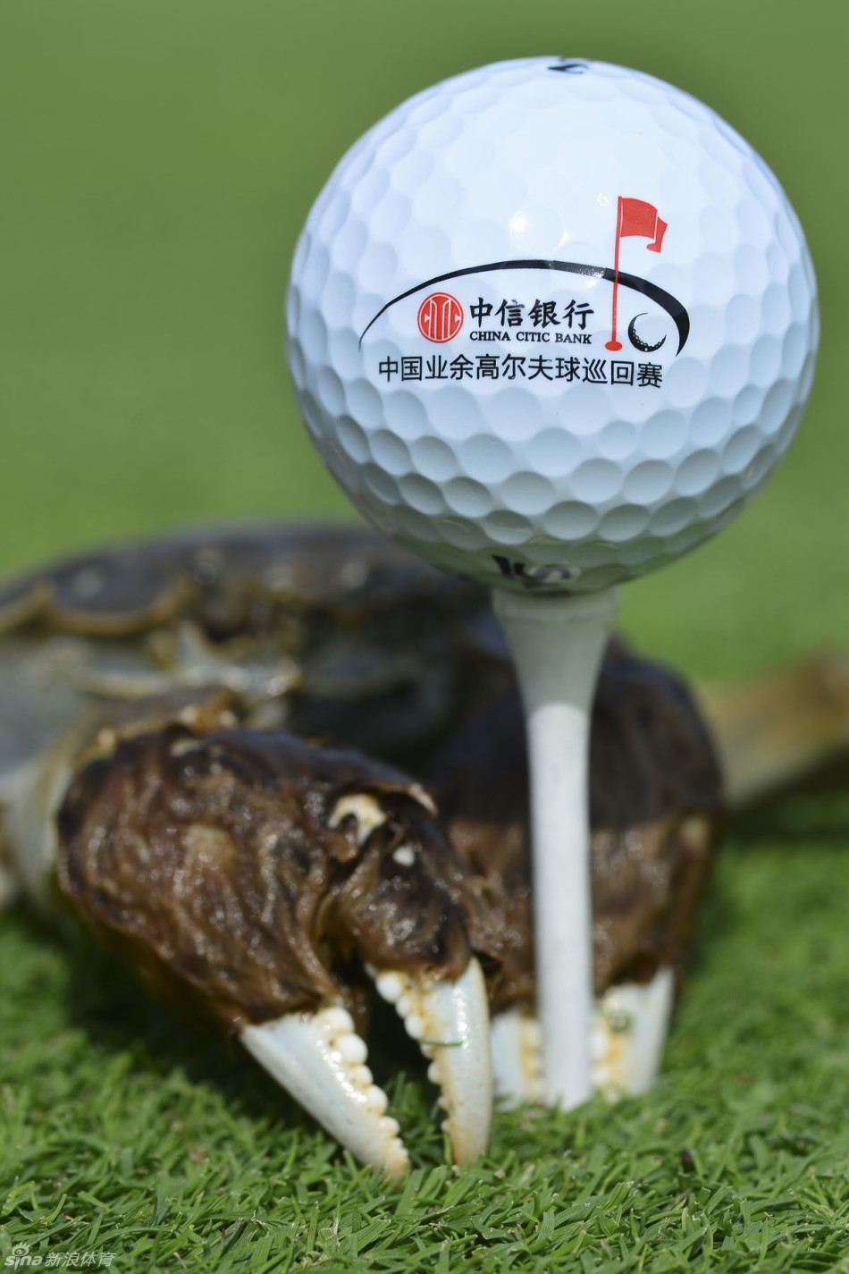 球童与球员并肩走过球道，是战友也是伙伴