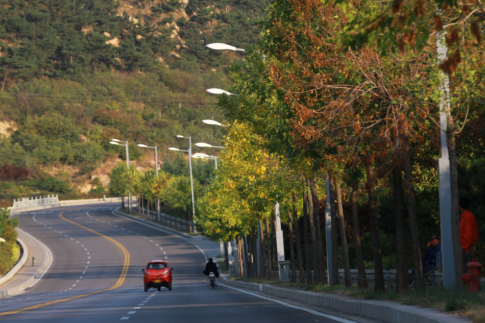 第二届泰山国际马拉松周日就将鸣枪起跑，最美赛道提前揭秘。