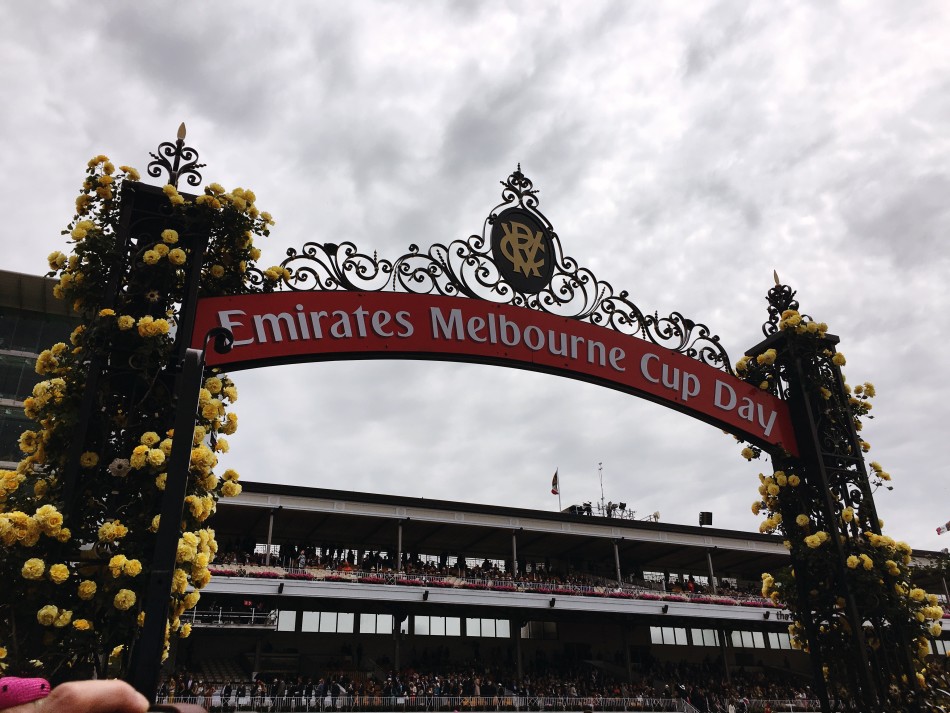 墨尔本杯赛马精彩花絮