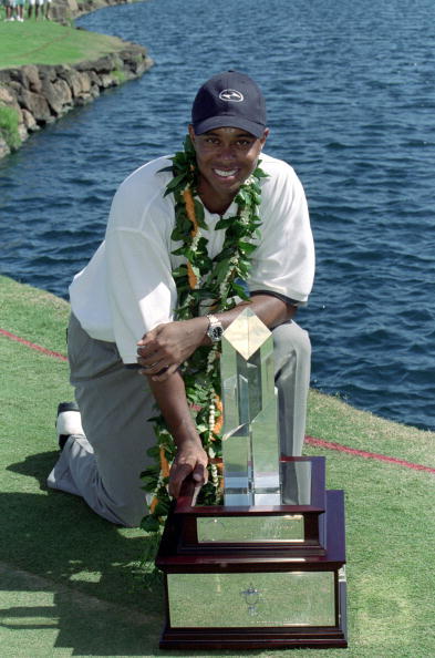 观众簇拥的赛场边，伍兹在果岭上仔细研判，每一寸草皮的变化都可能决定冠军的归属。