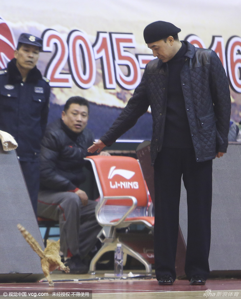 一番撒欢后，玩累了的喵星人似乎有了离意，它悠然转身，留给众人一个潇洒的背影，仿佛在说：此处虽好，却非吾乡。