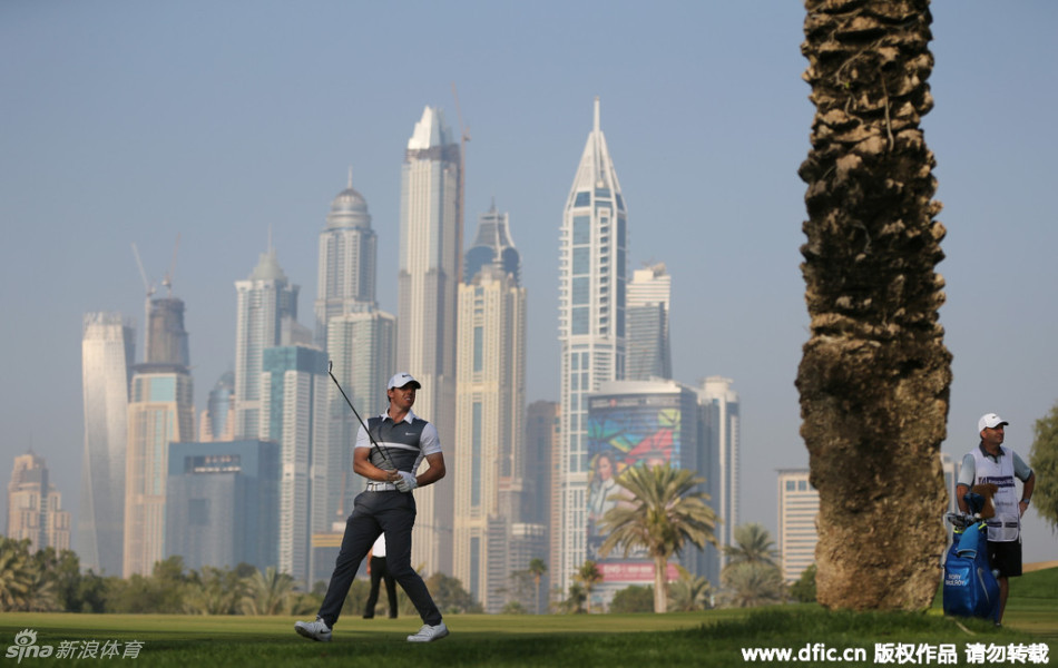 吴阿顺在迪拜赛场的树下冷静观察球位，准备进行一记关键的技术性救球，神情沉着。