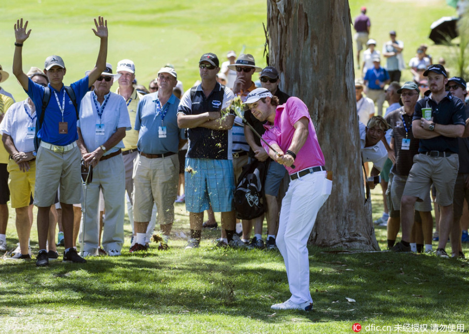 尤莱灵巧地在树下救球，以创意与胆识化解丛林危机