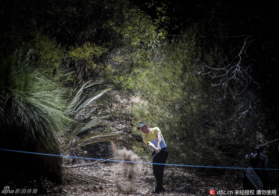 选手在树丛缝隙中果断挥杆，小球如银箭般穿越林间光影