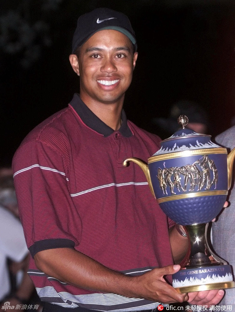 老虎伍兹在果岭上专注推杆，眼神如炬，仿佛冠军已在掌握之中