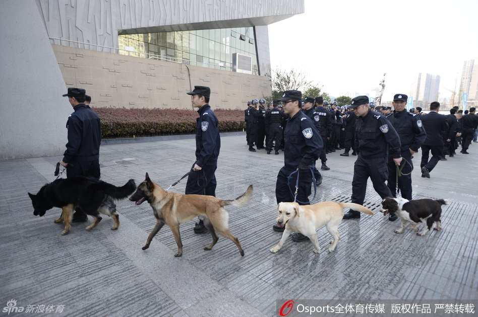 威风凛凛的警犬在训导员带领下，专注地对球馆外围的每一个角落进行细致排查，不放过任何一丝安全隐患。