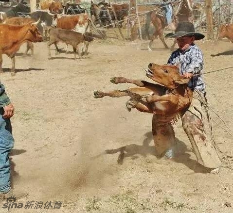 美国历史人口_美国历史