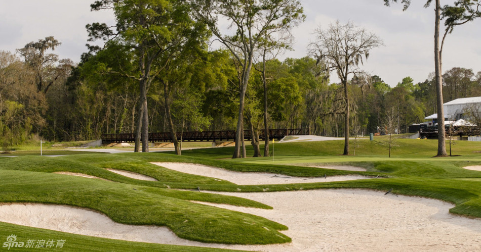 晨光洒落在第一洞发球台，球道如绿色丝带向远方延伸，预示着一天的激烈角逐即将开始