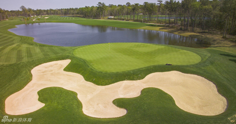 阳光穿透树梢照亮第九洞球道，球员正挥杆击球，白色小球在空中划出优美弧线