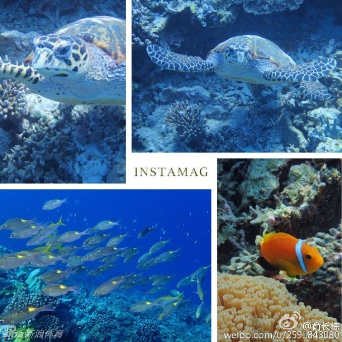 度假村的无边泳池边，俞长栋和妻子相视而笑，他搞怪地做出夸张表情逗乐妻子，两人仿佛回到热恋时期，氛围轻松又俏皮。