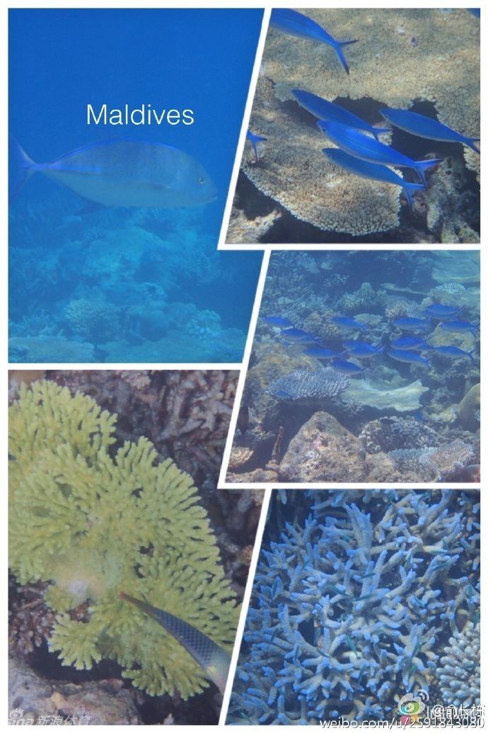 落日余晖洒满印度洋，俞长栋和妻子坐在海边餐厅，共同举杯庆祝这难得的二人世界，他的笑容里写满了对当下生活的享受与珍惜。