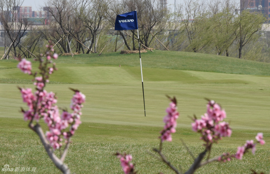 赛前练习场上，多位球员同时挥杆，构成一幅充满动感与力量的训练图景