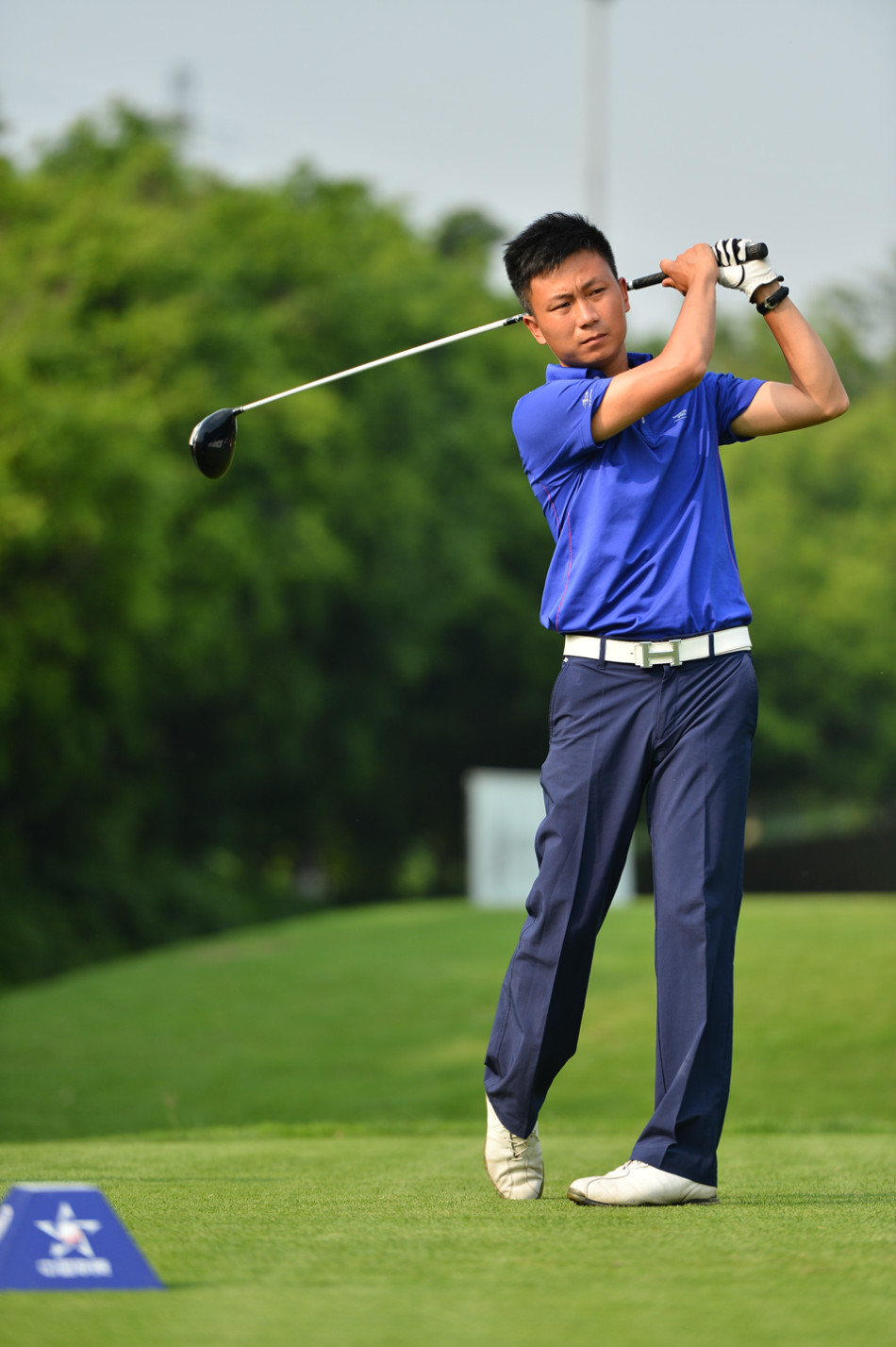 参赛球员们集体大合影，色彩缤纷的队服点缀在绿茵之上，记录下这个充满竞技与友谊的难忘时刻