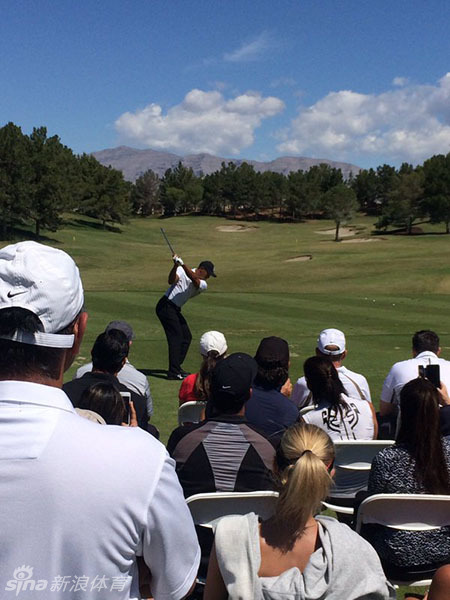 伍兹在高尔夫球场上成功击球后，开心地振臂欢呼，充满冠军的激情与活力