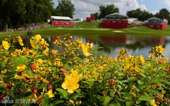 西班牙球星琼-拉姆完成一次关键推杆后,身体保持着平衡与专注,眼神紧随小球轨迹,果岭的线条在他身后延伸。