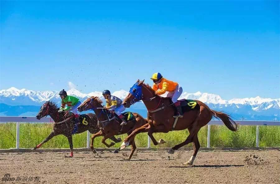 去昭苏看最美草原赛马