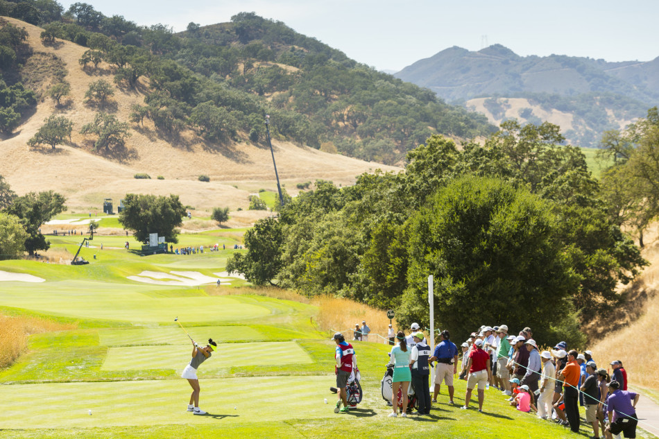 高宝璟俯身仔细查看果岭草纹，为重要推杆做最后准备