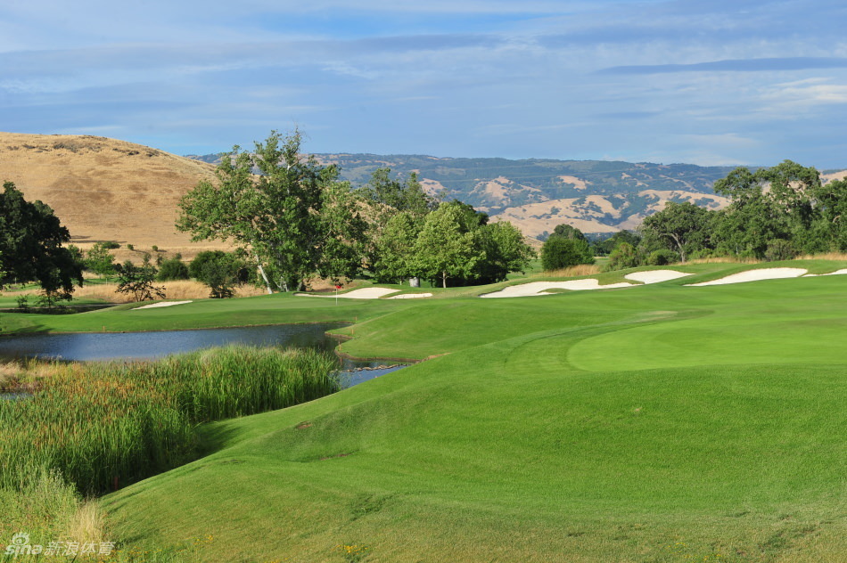 开阔的练习场上，球员们正在专注挥杆，远处是郁郁葱葱的树木，构成一幅充满活力与专注精神的训练图景